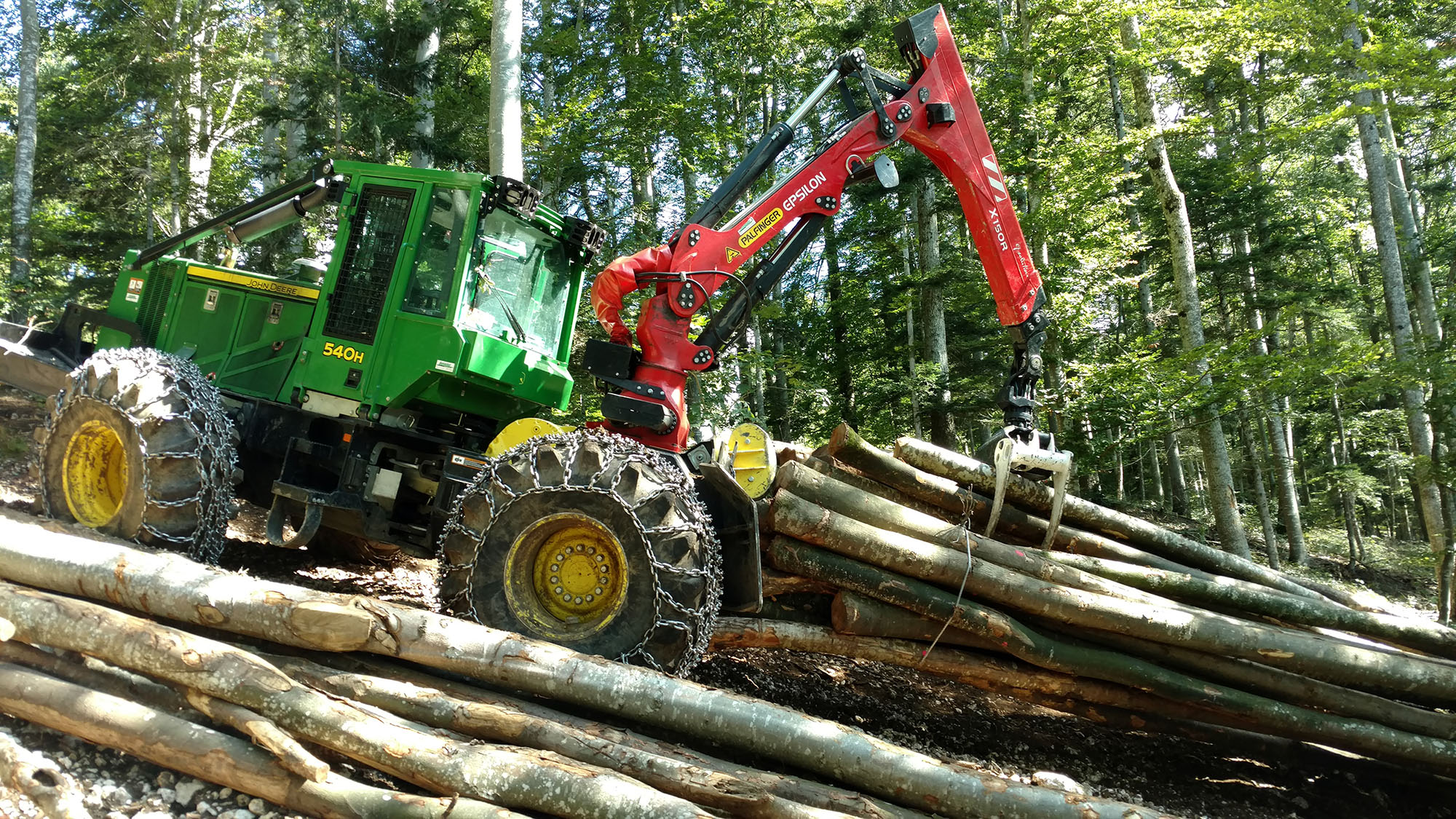 Forstwirtschaft Holzernte